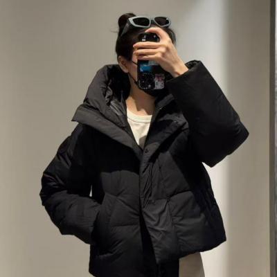 Chilliwack 泡芙羽绒夹克