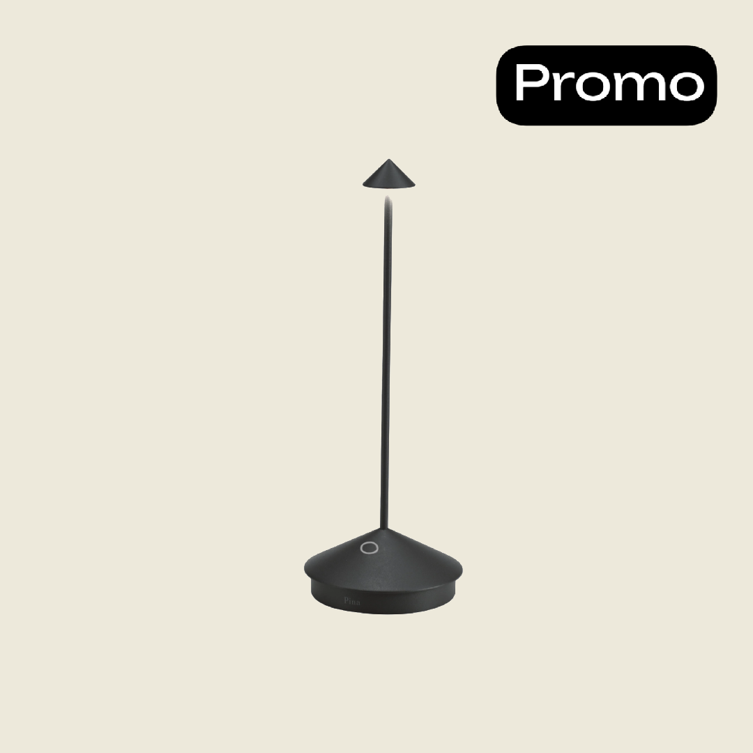 Pina Pro 便携LED灯
