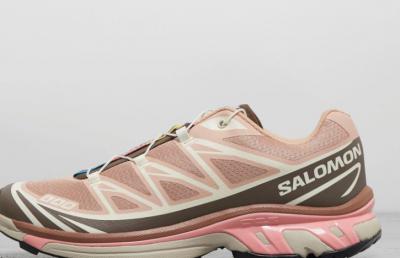 Salomon XT-6