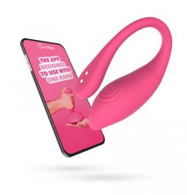 APP 遥控板