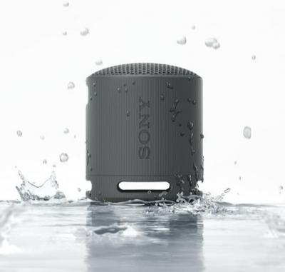 索尼 SRS-XB100 无线蓝牙音箱