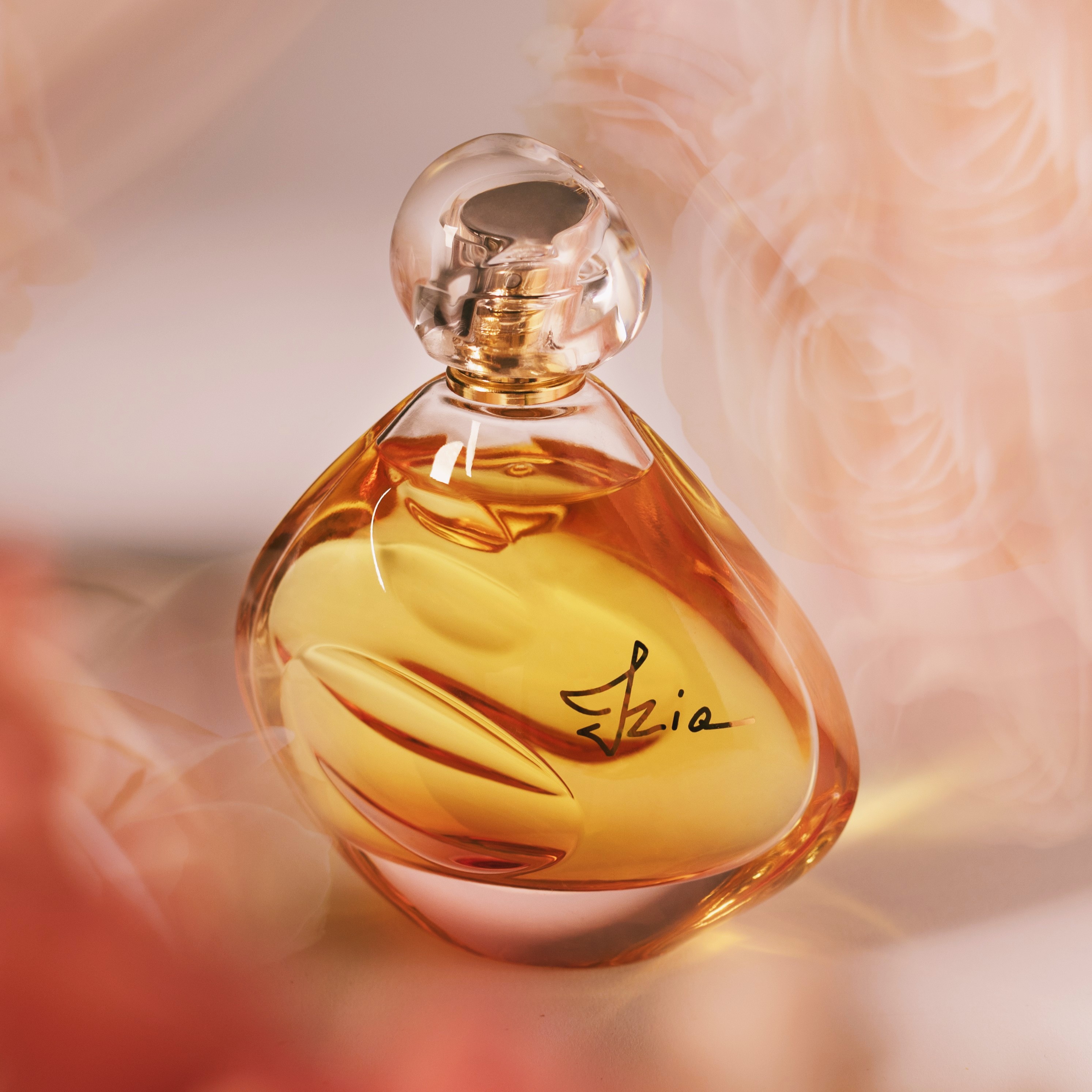伊兹娅 100ml