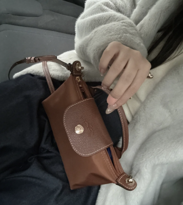 Le Pliage Original 手拿包