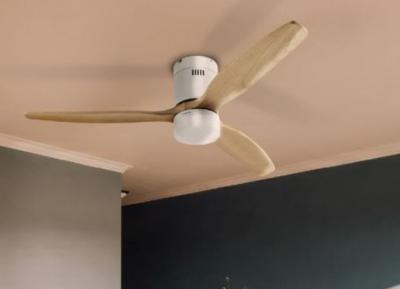 Thomson 带 LED 灯吊扇