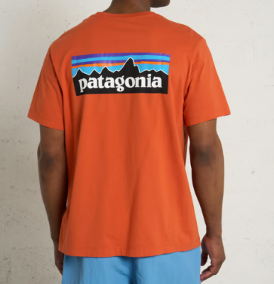 Patagonia T恤