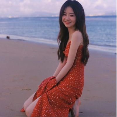 Camira 雪纺 连衣裙 花卉印花