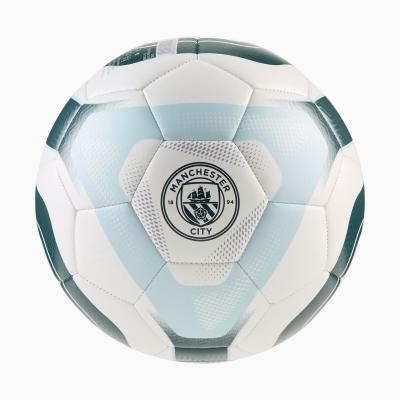 PUMA KING 训练足球