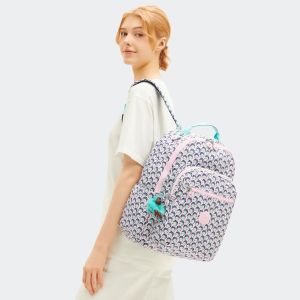 地壳首尔 15" 44 cm 电脑背包 H44 x L32.5 x P20.5 cm