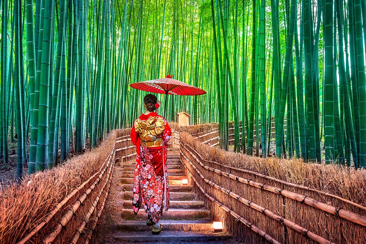日本的灵魂精华之旅
