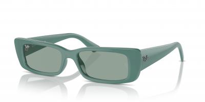 Ray-Ban RB4425 Teru Bio-based 太阳镜 绿色
