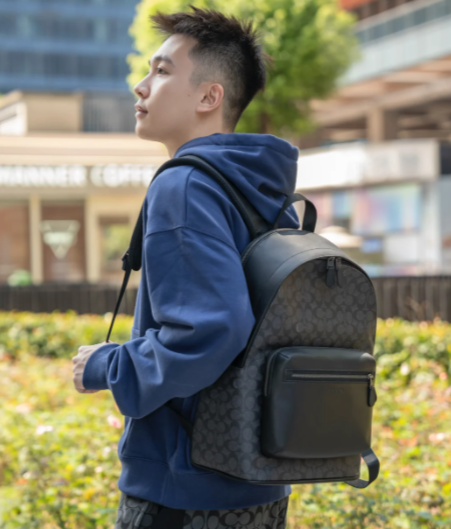 West 双肩包 帆布棕色