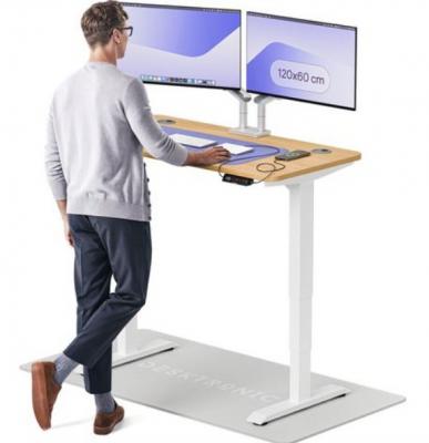 Desktronic HomePro 升降桌 120×60cm