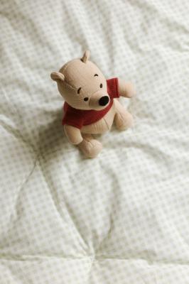 小熊维尼玩偶