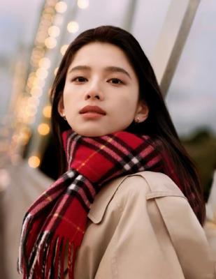 Burberry 格纹羊绒流苏围巾 红色