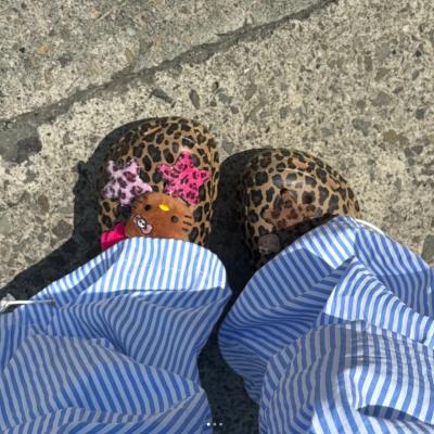 Classic Animal Clog 洞洞鞋