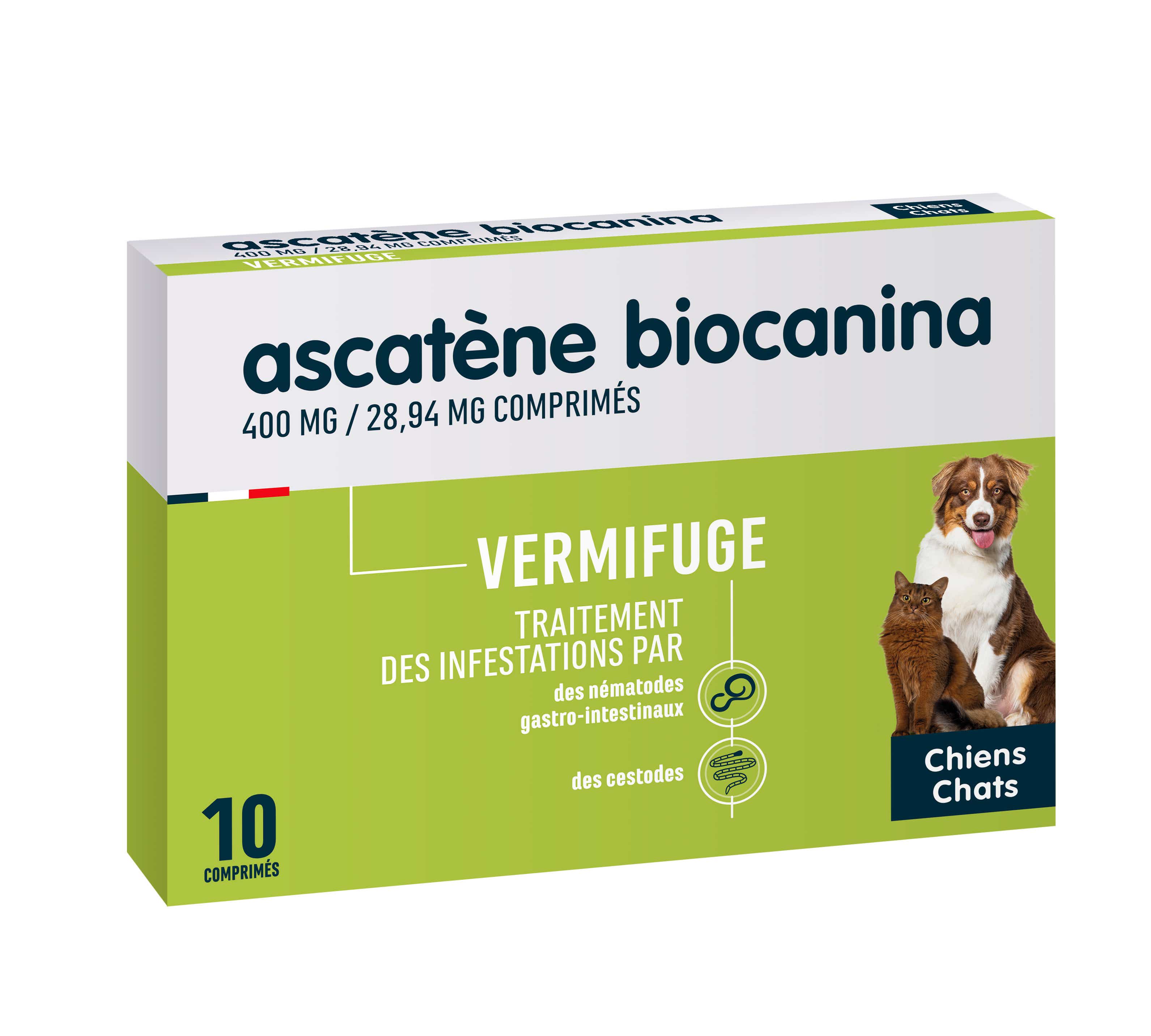 Ascatène 驱虫片 犬猫通用 10片