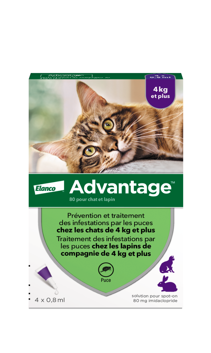 ADVANTAGE 80 猫兔用滴剂 4kg以上 4支