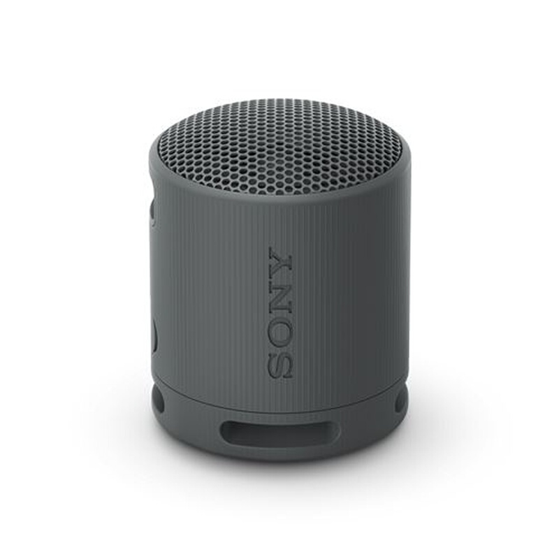 Sony SRS-XB100
