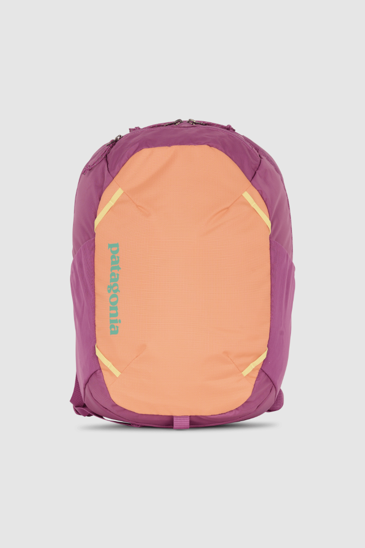 Patagonia Atom Day Pack 24L 双肩包·拼色