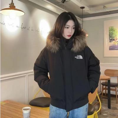 Arctic 连帽羽绒服