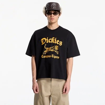 Dickies T-shirt Apalachicola SS Tee