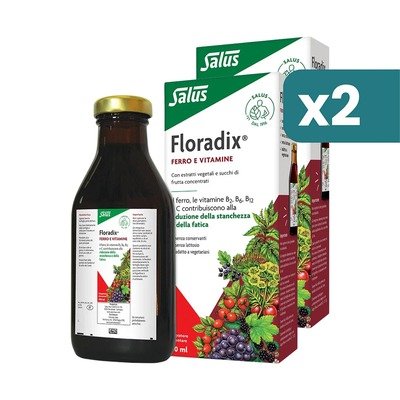 Floradix 铁与维生素液体装 2×500ml