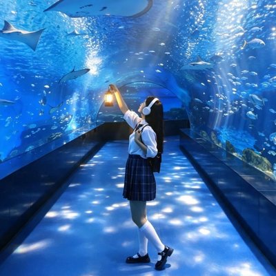 伦敦海洋馆 SEA LIFE London 门票