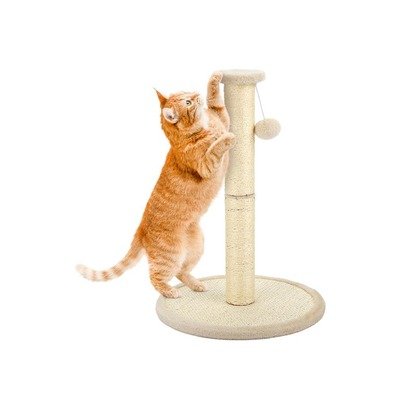 Zoofari猫爬架与仙人掌猫抓柱