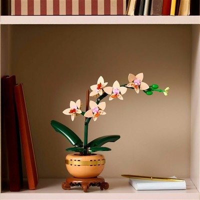 LEGO Botanicals 迷你兰花 10343