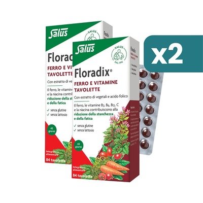 Floradix 铁与维生素 2×84片