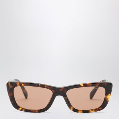Miu Miu 太阳镜 Honey Havana