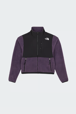 The North Face 抓绒衣