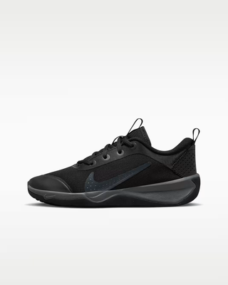 Nike Omni Multi-Court