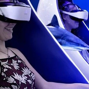 标准 + VR 体验