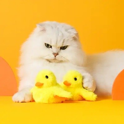 Petgravity猫咪互动鸭子玩具