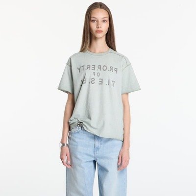 Diesel T-Ily T-Shirt greyT恤