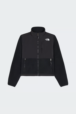 The North Face 抓绒衣