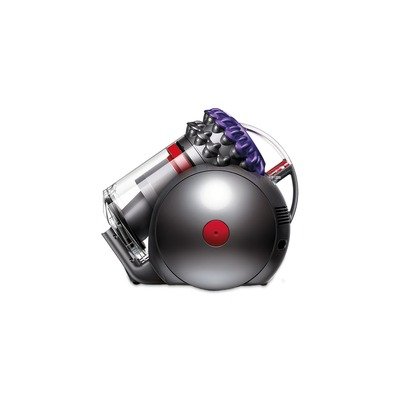 Dyson Big Ball Animal 2 vacuum(SKU 228563-01)